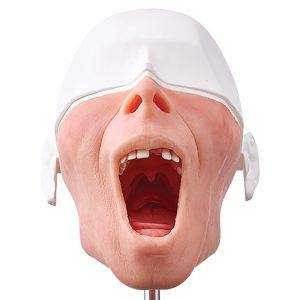Surgio, Treatment Planning Surgical Implant Manikin System